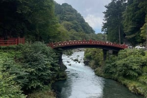 Tokyo: tour privato personalizzato a Nikko con autista e guida in inglese