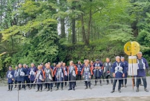 Tokyo: tour privato personalizzato a Nikko con autista e guida in inglese