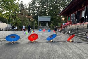 Tokyo: tour privato personalizzato a Nikko con autista e guida in inglese