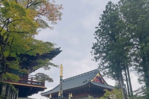 Tokyo: tour privato personalizzato a Nikko con autista e guida in inglese