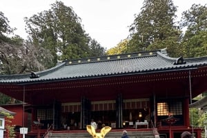 Tokyo: tour privato personalizzato a Nikko con autista e guida in inglese