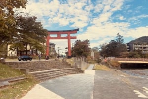 Tokyo: tour privato personalizzato a Nikko con autista e guida in inglese