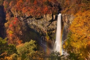 From Tokyo: Nikko World Heritage Sight Full Day Private Tour