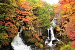 From Tokyo: Nikko World Heritage Sight Full Day Private Tour