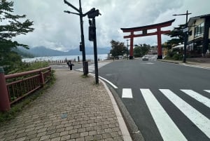 From Tokyo: Nikko World Heritage Sight Full Day Private Tour