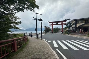 From Tokyo: Nikko World Heritage Sight Full Day Private Tour