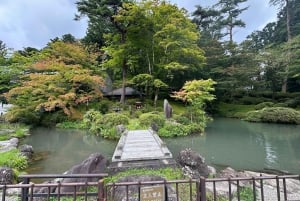 From Tokyo: Nikko World Heritage Sight Full Day Private Tour