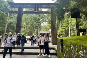 From Tokyo: Nikko World Heritage Sight Full Day Private Tour