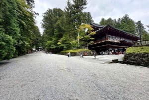 From Tokyo: Nikko World Heritage Sight Full Day Private Tour