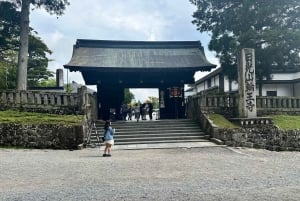 From Tokyo: Nikko World Heritage Sight Full Day Private Tour