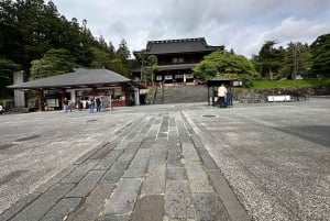 From Tokyo: Nikko World Heritage Sight Full Day Private Tour