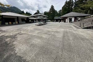 From Tokyo: Nikko World Heritage Sight Full Day Private Tour