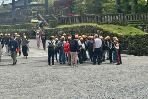 From Tokyo: Nikko World Heritage Sight Full Day Private Tour