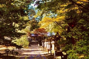 A partir de Tóquio: Viagem de 1 dia privada ao Património Mundial de Nikko