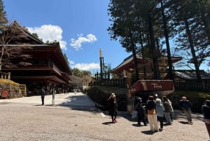 A partir de Tóquio: Viagem de 1 dia privada ao Património Mundial de Nikko