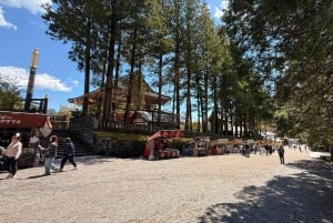 A partir de Tóquio: Viagem de 1 dia privada ao Património Mundial de Nikko
