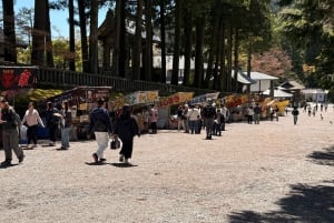 A partir de Tóquio: Viagem de 1 dia privada ao Património Mundial de Nikko