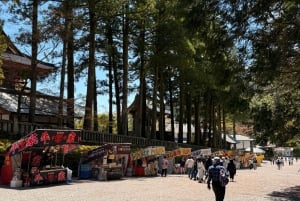 A partir de Tóquio: Viagem de 1 dia privada ao Património Mundial de Nikko