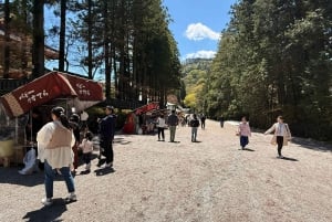A partir de Tóquio: Viagem de 1 dia privada ao Património Mundial de Nikko