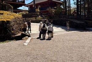 A partir de Tóquio: Viagem de 1 dia privada ao Património Mundial de Nikko