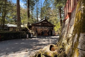 A partir de Tóquio: Viagem de 1 dia privada ao Património Mundial de Nikko