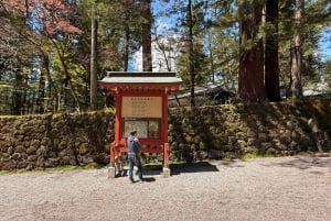 A partir de Tóquio: Viagem de 1 dia privada ao Património Mundial de Nikko