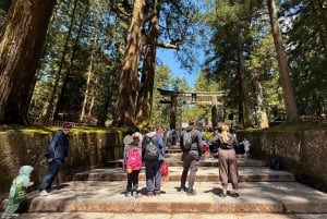 A partir de Tóquio: Viagem de 1 dia privada ao Património Mundial de Nikko