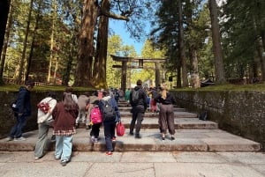 A partir de Tóquio: Viagem de 1 dia privada ao Património Mundial de Nikko