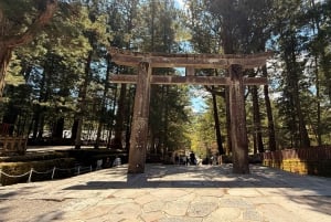 A partir de Tóquio: Viagem de 1 dia privada ao Património Mundial de Nikko