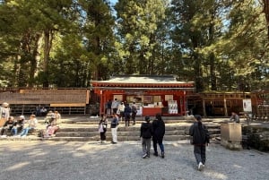 A partir de Tóquio: Viagem de 1 dia privada ao Património Mundial de Nikko
