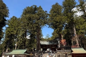 A partir de Tóquio: Viagem de 1 dia privada ao Património Mundial de Nikko