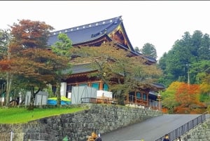 A partir de Tóquio: Viagem de 1 dia privada ao Património Mundial de Nikko