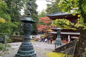 A partir de Tóquio: Viagem de 1 dia privada ao Património Mundial de Nikko