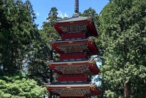 A partir de Tóquio: Viagem de 1 dia privada ao Património Mundial de Nikko