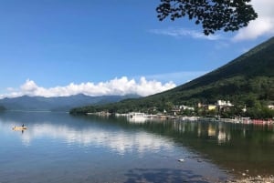 A partir de Tóquio: Viagem de 1 dia privada ao Património Mundial de Nikko