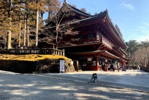 A partir de Tóquio: Viagem de 1 dia privada ao Património Mundial de Nikko