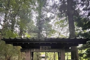 A partir de Tóquio: Viagem de 1 dia privada ao Património Mundial de Nikko