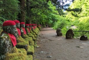 A partir de Tóquio: Viagem de 1 dia privada ao Património Mundial de Nikko