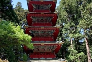 A partir de Tóquio: Viagem de 1 dia privada ao Património Mundial de Nikko