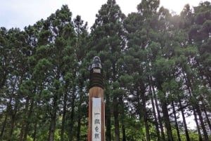 A partir de Tóquio: Viagem de 1 dia privada ao Património Mundial de Nikko