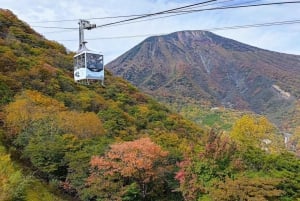 A partir de Tóquio: Viagem de 1 dia privada ao Património Mundial de Nikko