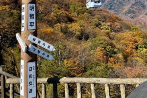 A partir de Tóquio: Viagem de 1 dia privada ao Património Mundial de Nikko