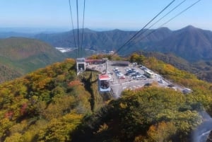 A partir de Tóquio: Viagem de 1 dia privada ao Património Mundial de Nikko