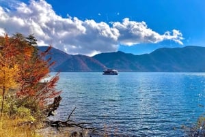A partir de Tóquio: Viagem de 1 dia privada ao Património Mundial de Nikko
