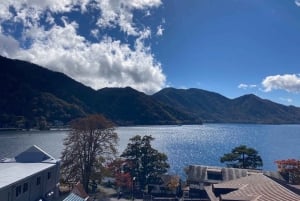 A partir de Tóquio: Viagem de 1 dia privada ao Património Mundial de Nikko