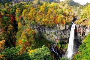 A partir de Tóquio: Viagem de 1 dia privada ao Património Mundial de Nikko