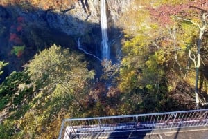 A partir de Tóquio: Viagem de 1 dia privada ao Património Mundial de Nikko