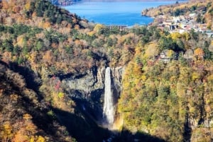 A partir de Tóquio: Viagem de 1 dia privada ao Património Mundial de Nikko
