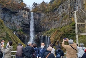 A partir de Tóquio: Viagem de 1 dia privada ao Património Mundial de Nikko