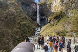 A partir de Tóquio: Viagem de 1 dia privada ao Património Mundial de Nikko